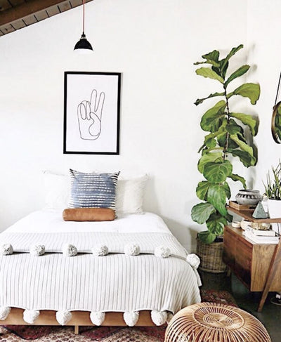 Houseplants to Green Up Your Home