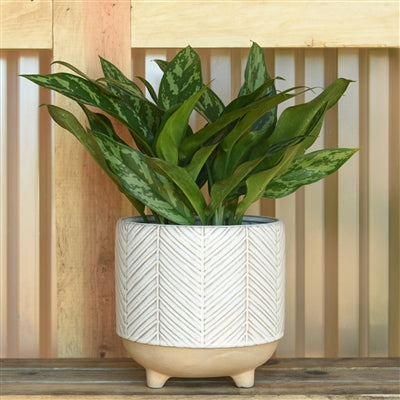 RAMOS CHEVRON CACHEPOT