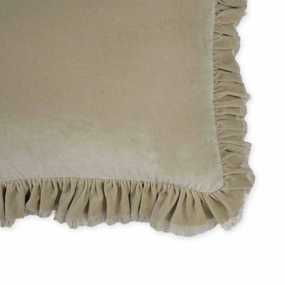 Distressed Beige Velvet Pillow