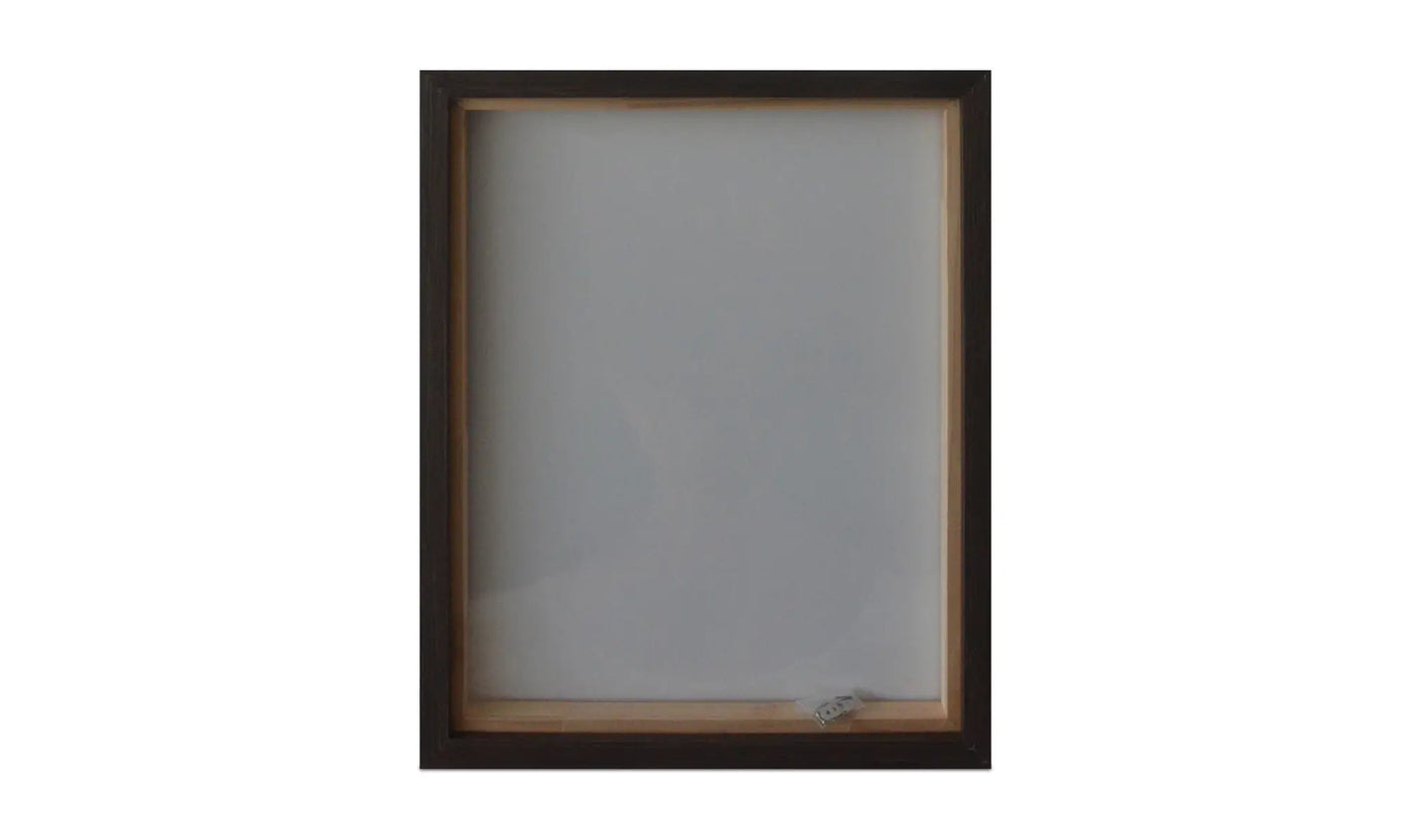 Intrepid Framed Painting