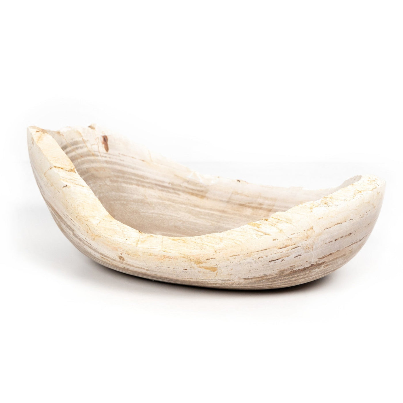 OVAL PETRIFIED WOOD BOWL-PETRIFIED WOOD