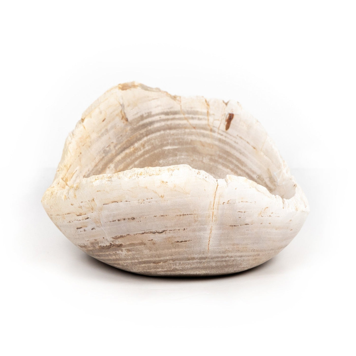 OVAL PETRIFIED WOOD BOWL-PETRIFIED WOOD
