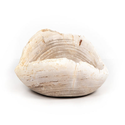 OVAL PETRIFIED WOOD BOWL-PETRIFIED WOOD
