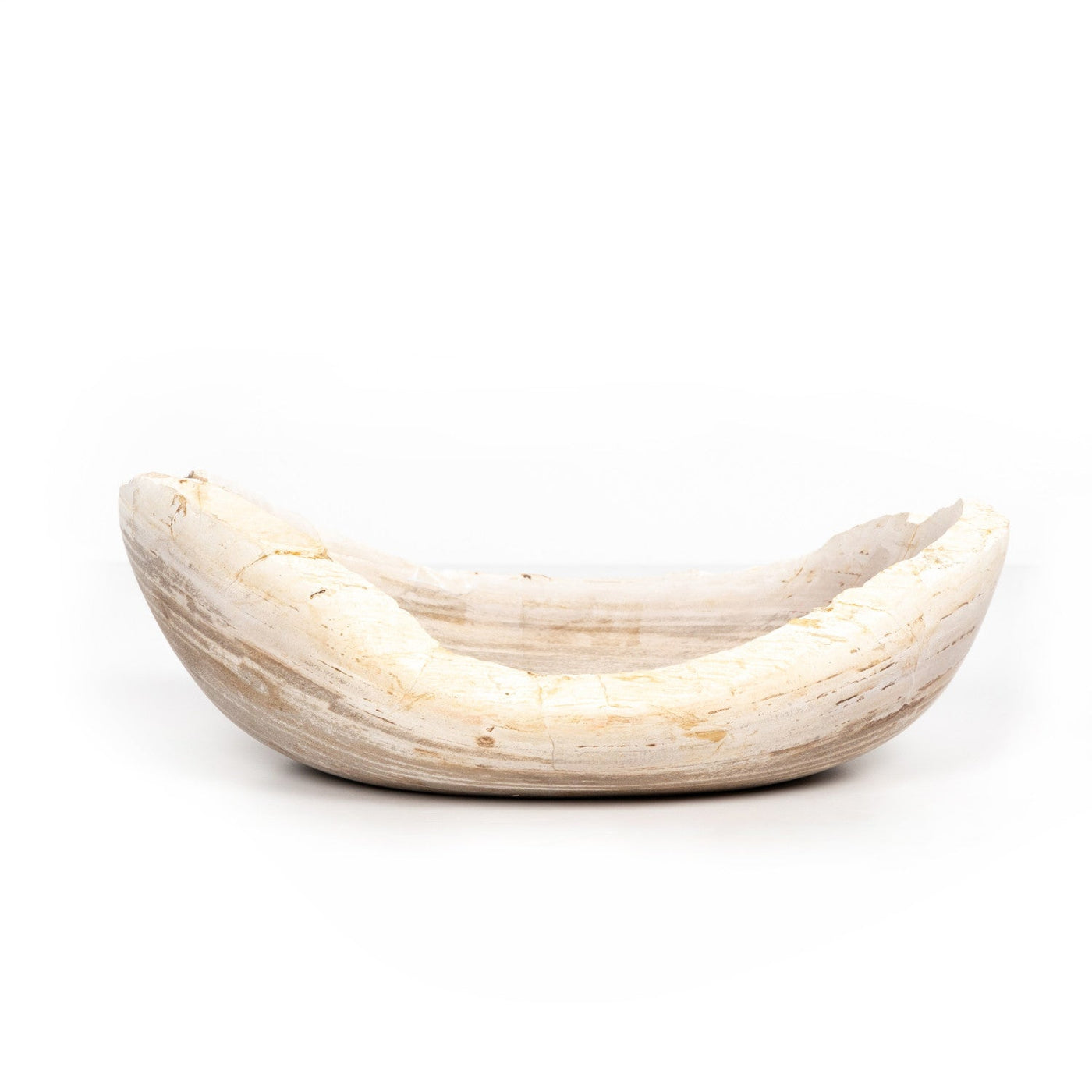 OVAL PETRIFIED WOOD BOWL-PETRIFIED WOOD
