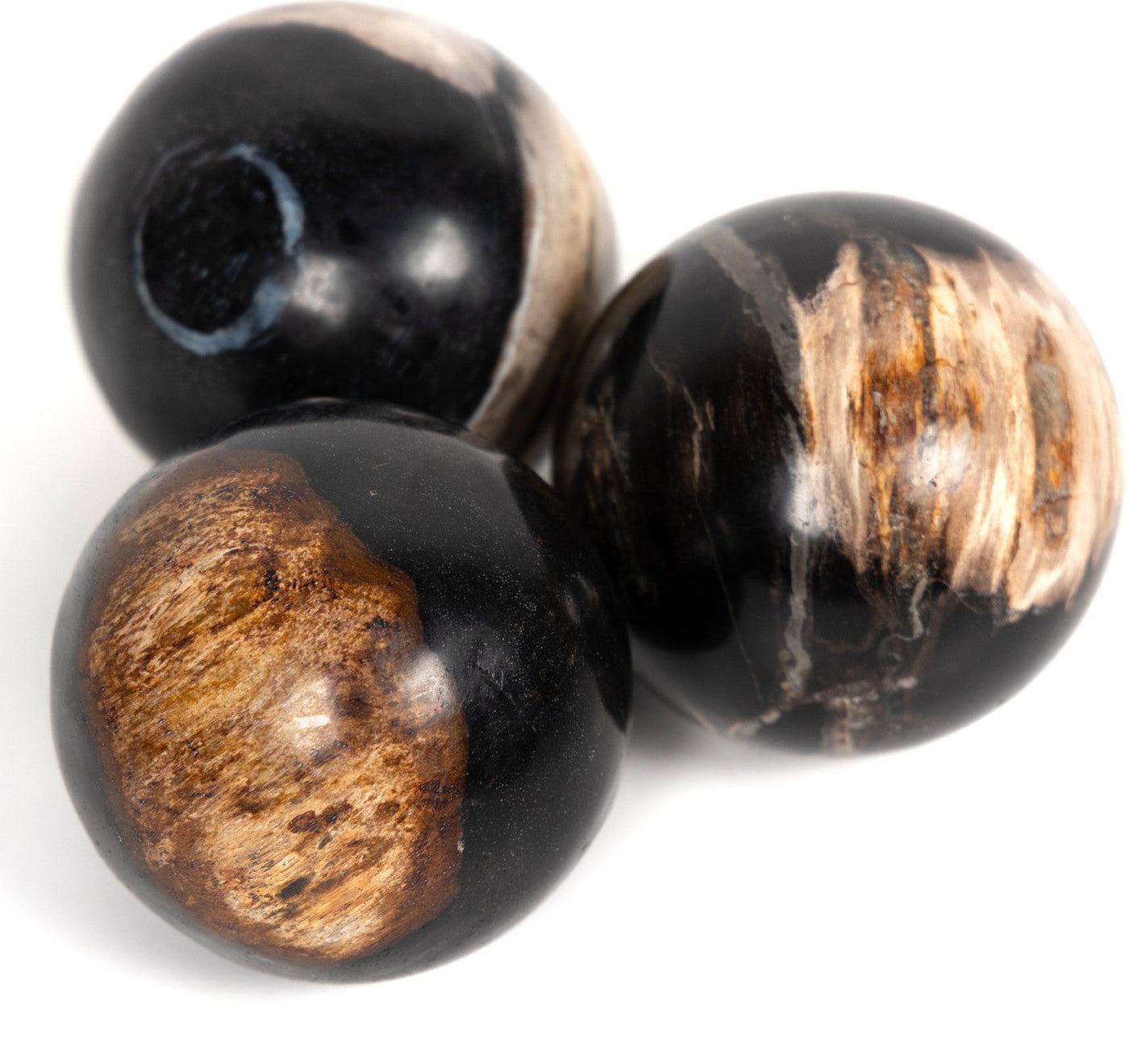 PETRIFIED WOOD BALLS, SET 3-DARK
