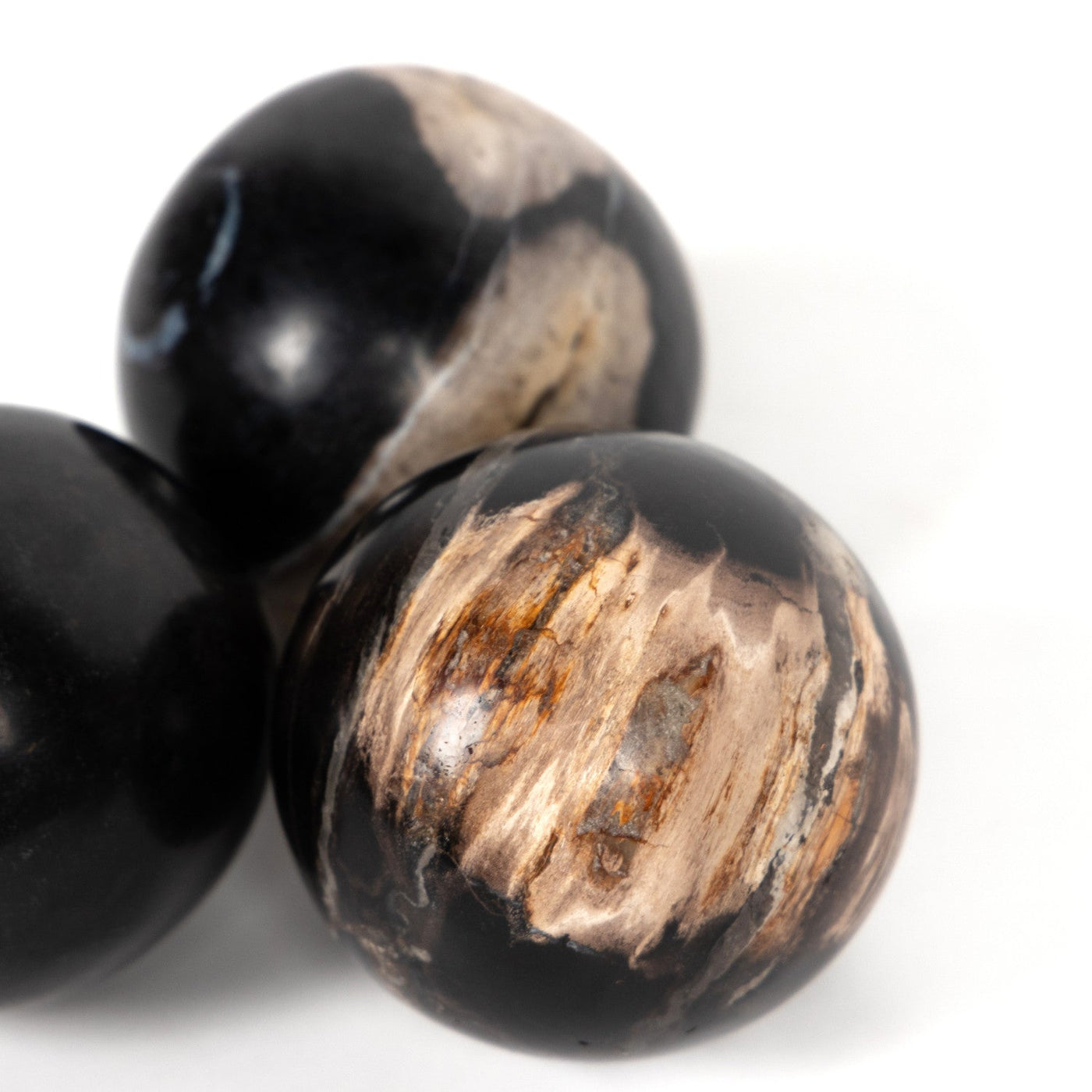 PETRIFIED WOOD BALLS, SET 3-DARK