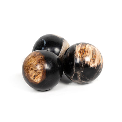 PETRIFIED WOOD BALLS, SET 3-DARK