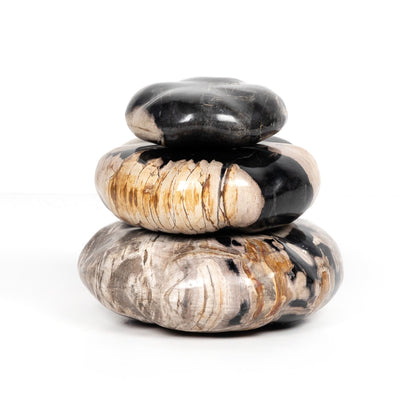 PETRIFIED WOOD ORGANIC SCULPTURE-DARK