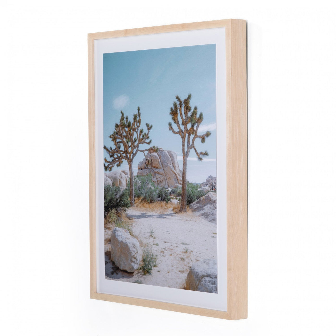JOSHUA TREE IV BY SARAH ELLEFSON