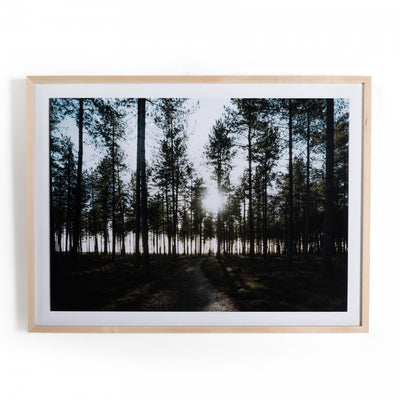 DIBDEN ENCLOSURE BY ANNIE SPRATT