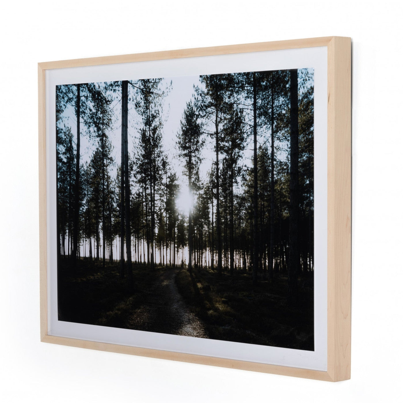DIBDEN ENCLOSURE BY ANNIE SPRATT