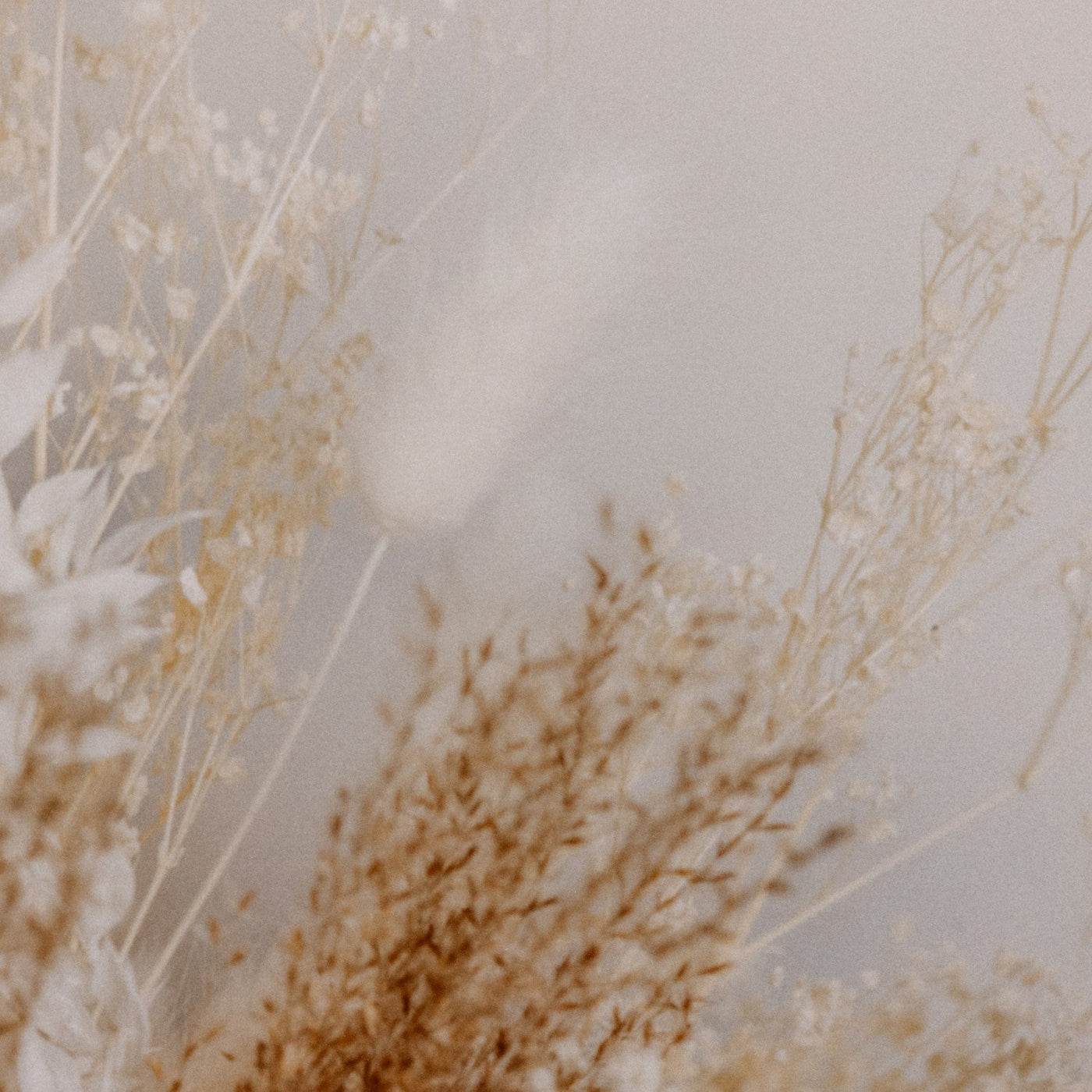 DRIED FLORAL II BY ANNIE SPRATT