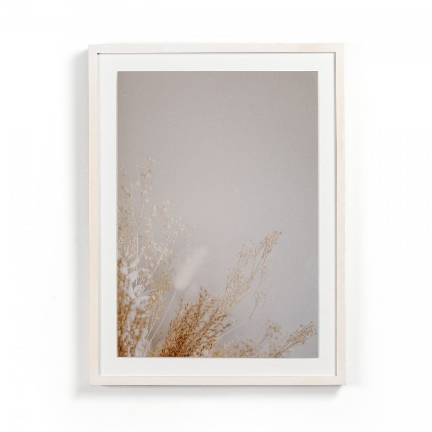DRIED FLORAL II BY ANNIE SPRATT