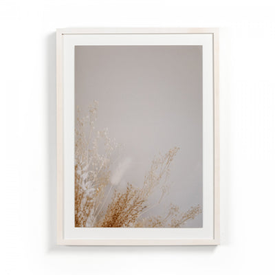 DRIED FLORAL II BY ANNIE SPRATT