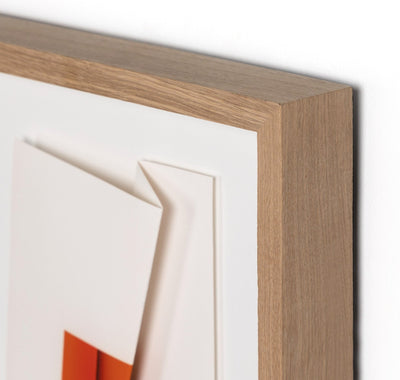COLOR FORM D BY DAVID GREY