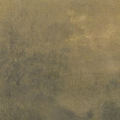 EXPANSE BY AILEEN FITZGERALD