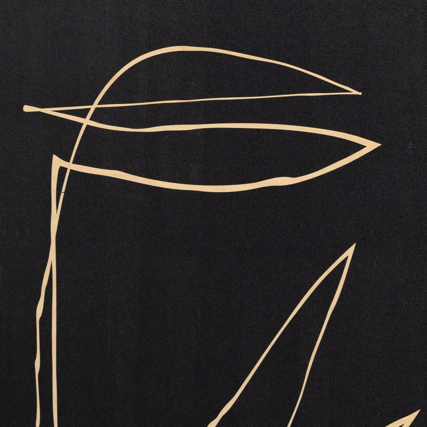 Abstract Botanic Line Drawing - Roseanne