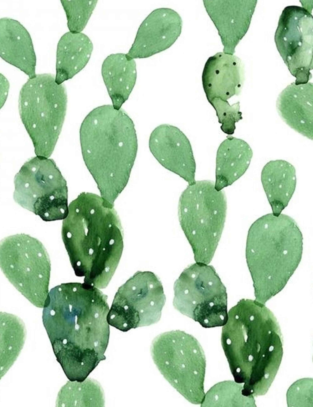 Anewall Desert Cactus Wallpaper