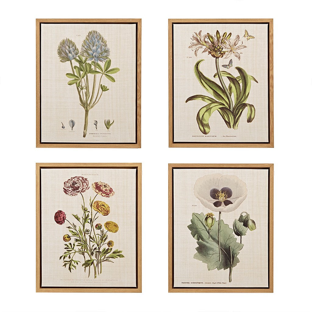 Botanical Framed Art set of 4