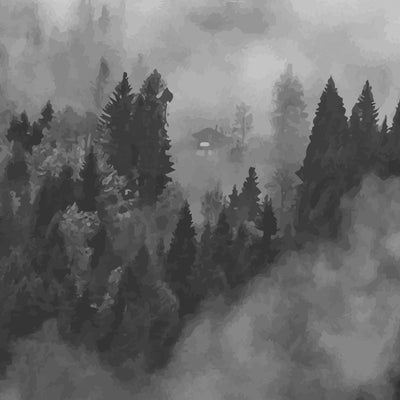 Anewall Foggy Hills Wallpaper