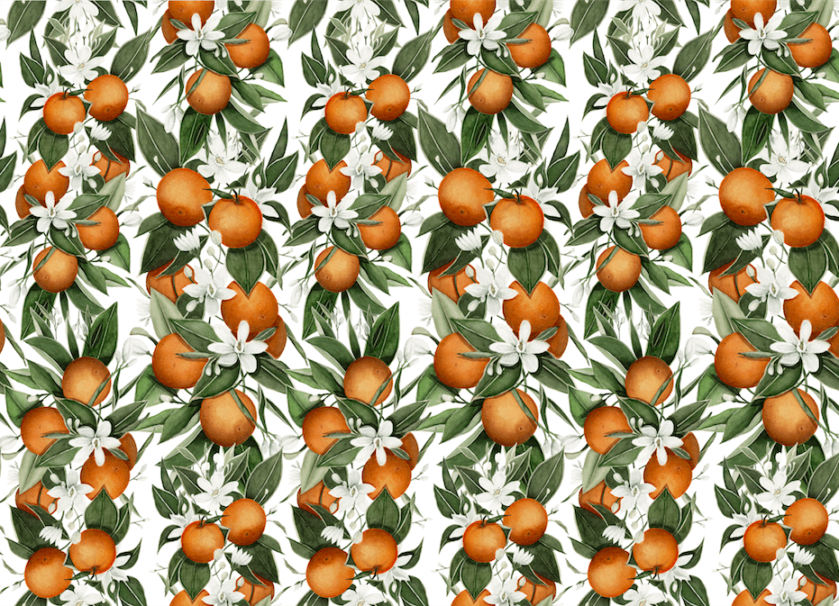 Anewall Blooming Citrus Wallpaper