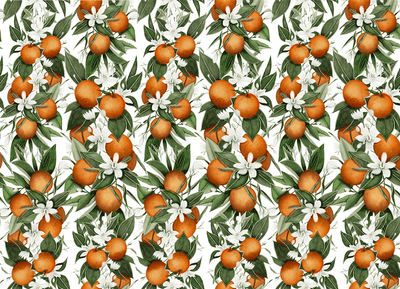 Anewall Blooming Citrus Wallpaper