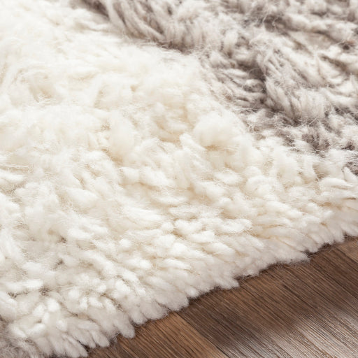 Jerrin Shag Rug Gray